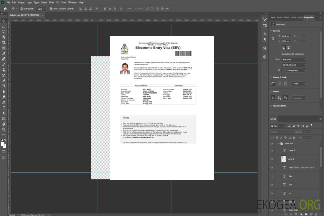 Visa électronique pour les Bahamas en modèle Word et PDF template Visa électronique pour les Bahamas en modèle Word et PDF template